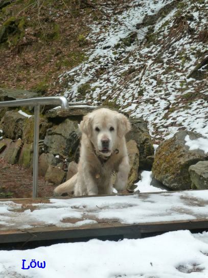 30.3.2013 - Wo ist das Wasser?